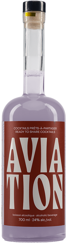 Pr&ecirc;t-&agrave;-partager Aviation 